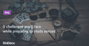 Read more about the article The 5 Challenges You’ll Face While Preparing to Study Abroad