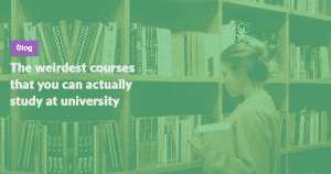 Read more about the article The weirdest courses that you can actually study at university