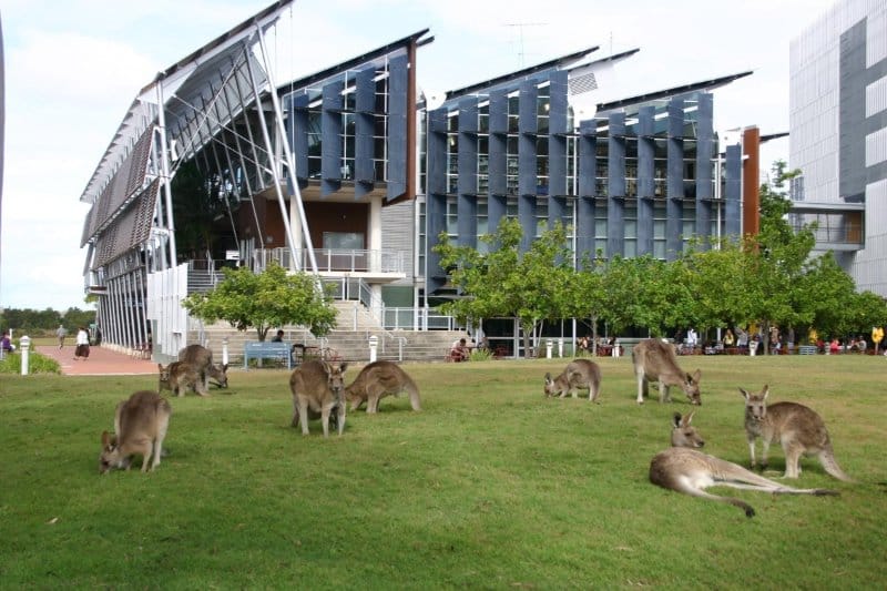 Read more about the article The 7 Worst Australian Universities 2018